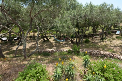 Maison Tavolara Alojamiento y desayuno in Porto-Vecchio