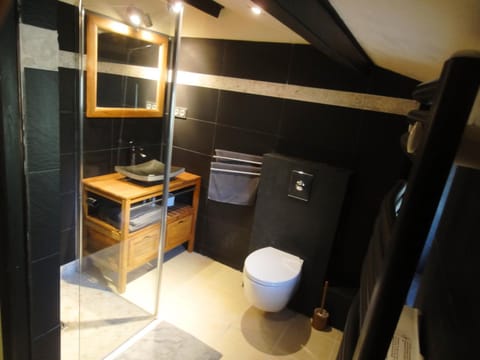 Shower, Toilet, Bathroom, towels