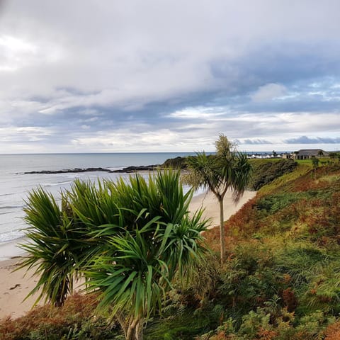 Beach, On site