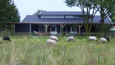 Property building, Garden, Animals