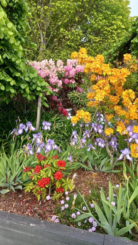 Property building, Garden