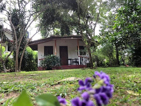 Property building, Garden view