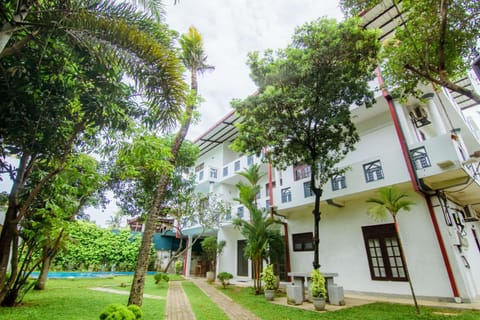 Property building, Garden, Garden view