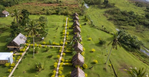 Bird's eye view, Garden view