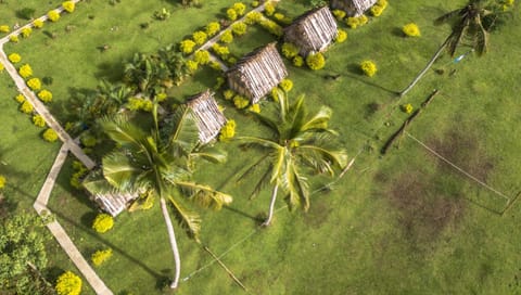 Bird's eye view, Garden view