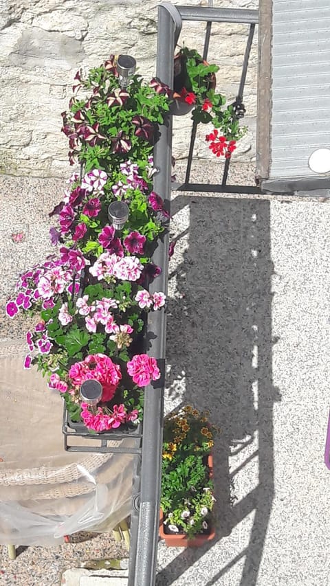 Apartment and Room Nona Stella Bed and Breakfast in Split