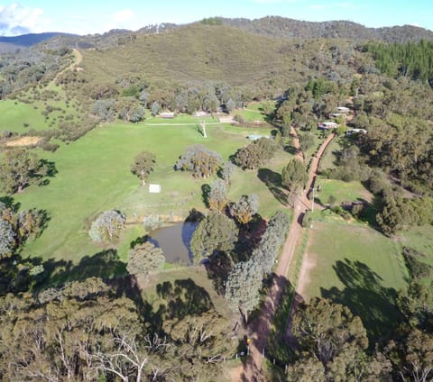 Bird's eye view, Garden, Area and facilities