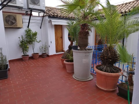 Patio de la Escalera House in Cordoba