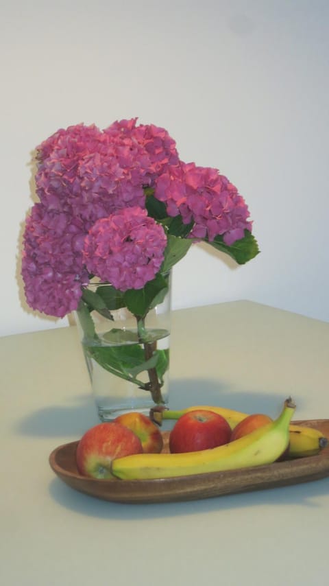 Ferienhaus Ritter Apartment in Bregenz