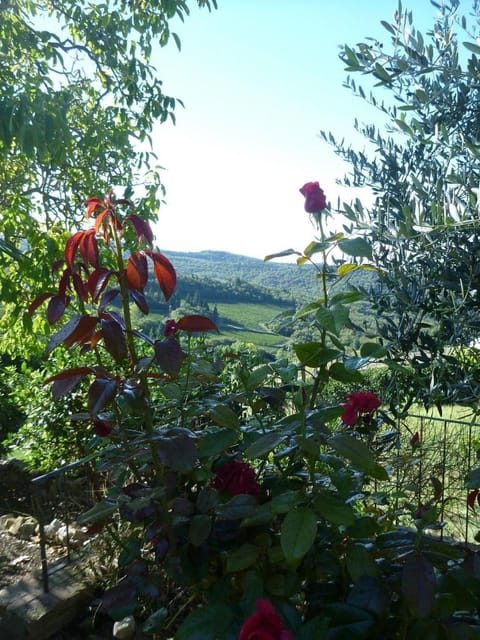 Podere Palazzolo (ADULTS ONLY) Country House in Castellina in Chianti