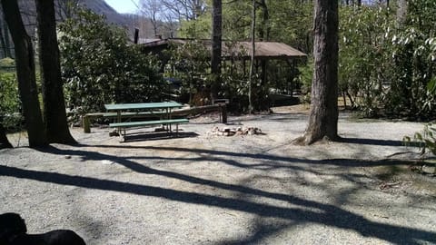 Linville Falls Campground, RV Park, and Cabins Camping /
Complejo de autocaravanas in Tennessee