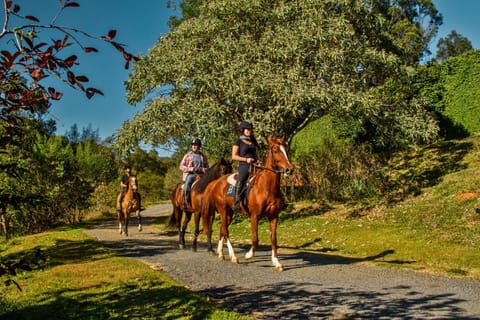 Horse-riding