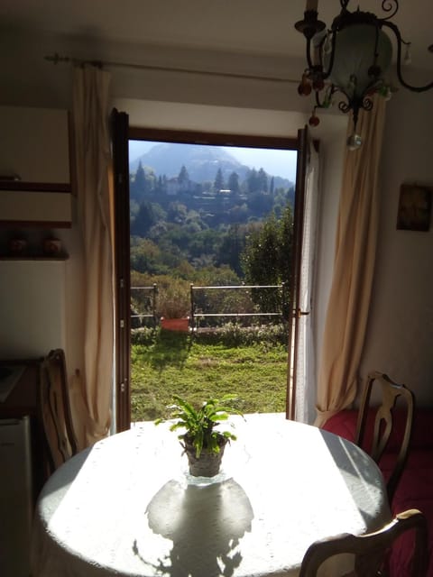 Day, Dining area, Garden view