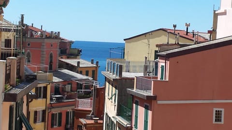 City view, Sea view