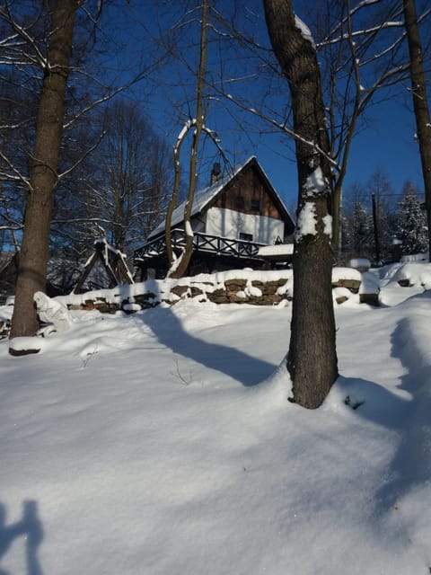 Property building, Winter