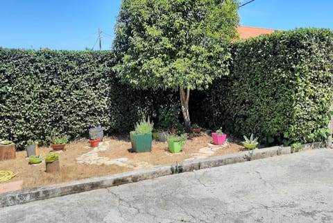 Inner courtyard view