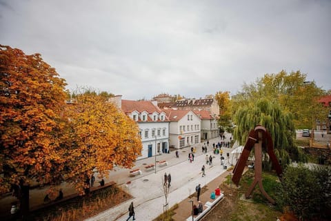 Vilnius Private Stay Condo in Vilnius