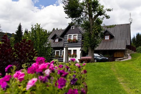 Property building, Facade/entrance, Summer, Garden