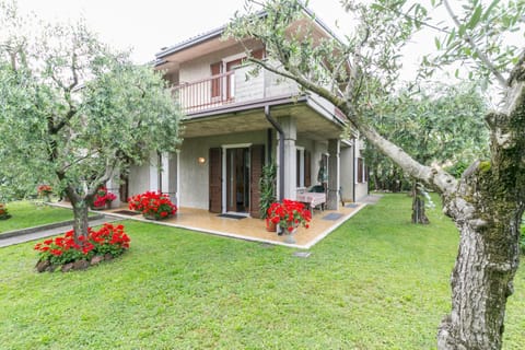 Garden, Street view