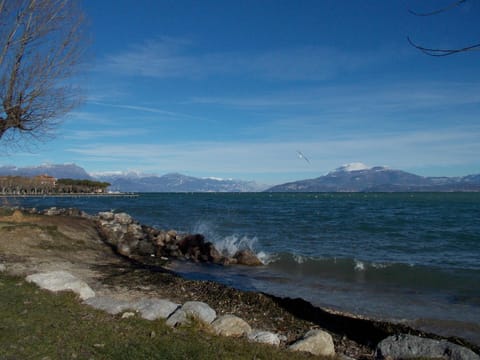 Natural landscape, Beach, Lake view