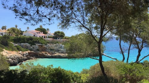 Natural landscape, Sea view