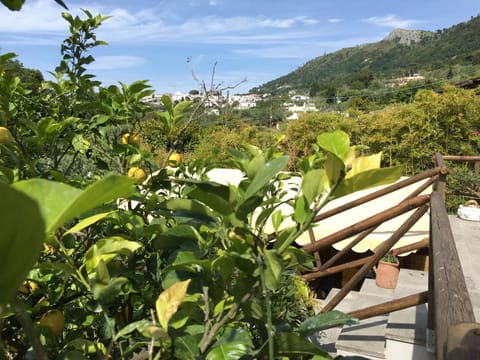 Garden, View (from property/room), Mountain view