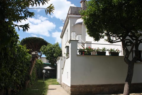 Day, Garden, Other