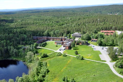 Day, Bird's eye view, Summer