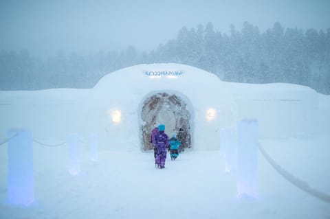 Facade/entrance, Winter