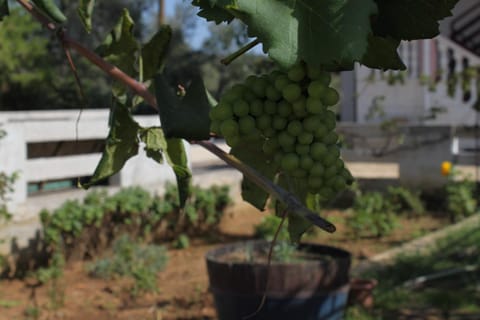 Location, children, Family