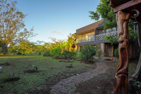 Property building, Garden view