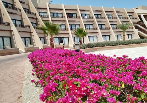 Property building, Garden view