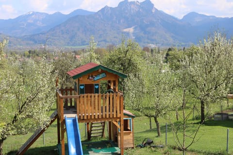 Pension Berghof Bed and Breakfast in Salzburgerland