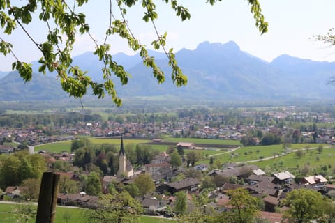 Pension Berghof Bed and Breakfast in Salzburgerland