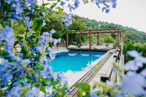 Spring, Day, Natural landscape, Pool view, Swimming pool, sunbed