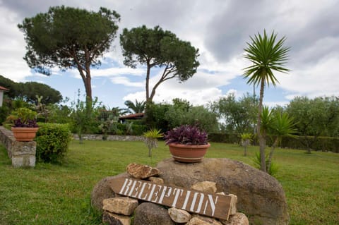 Patio, Garden