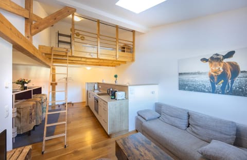 Photo of the whole room, Dining area, kitchen