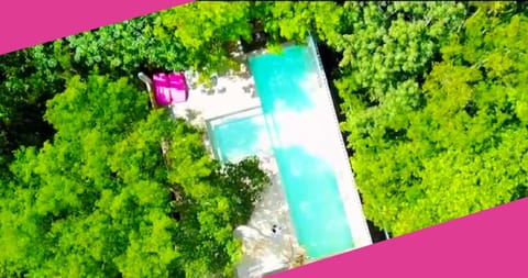 Bird's eye view, Pool view, Swimming pool