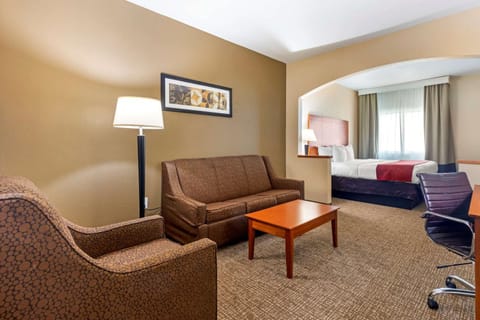 Comfort Suites North Dallas Hotel in Richardson