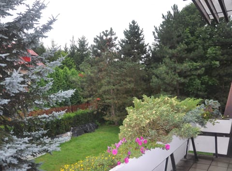 Balcony/Terrace, Garden view