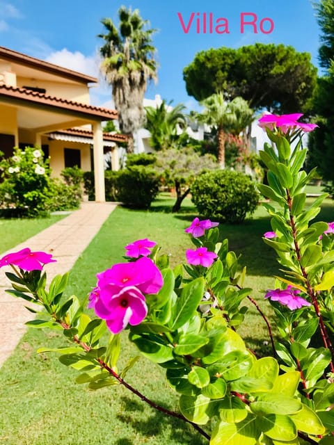 Property building, Day, Garden, Garden view