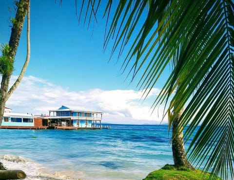 Casa Acuario Boutique Hotel Inn in Bocas del Toro Province