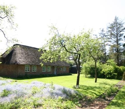 Facade/entrance, Garden