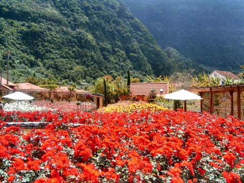 Pestana Quinta do Arco Nature & Rose Garden Hotel Campground/ 
RV Resort in Madeira District