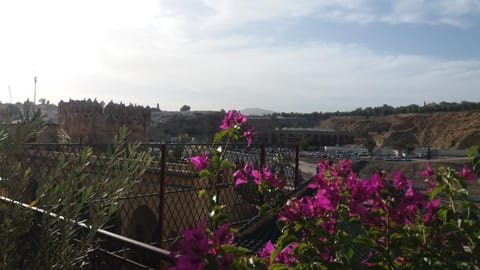 Balcony/Terrace, Mountain view