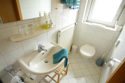 Shower, Toilet, Bathroom, towels