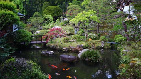 Natural landscape, Garden, Garden view