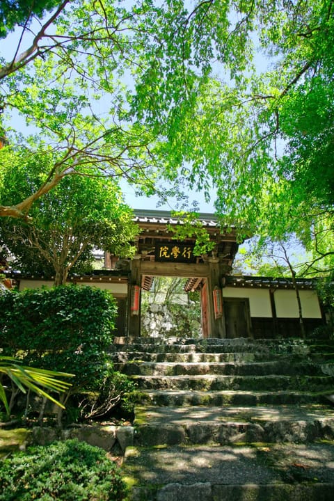 Property building, Facade/entrance, Garden