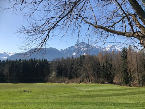 Natural landscape, Other