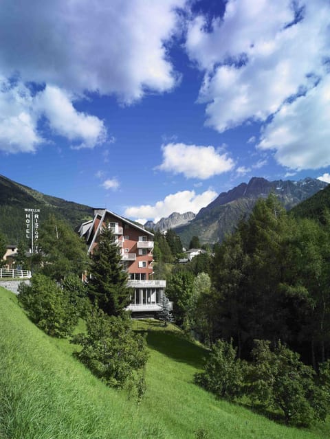 Bird's eye view, Summer, View (from property/room)